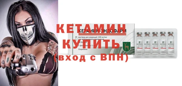 дмт Бородино