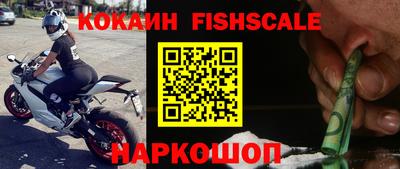прущие крисы Кингисепп