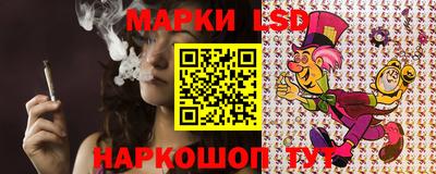 прущие крисы Кингисепп