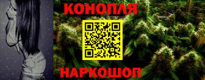 амф Кимры