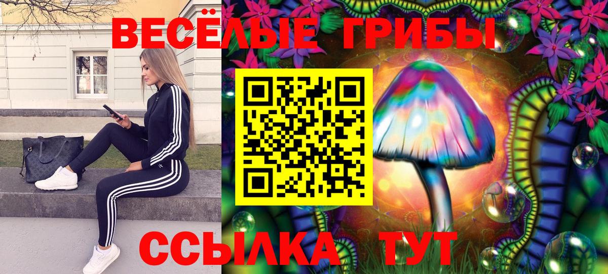 Галлюциногенные грибы мухоморы  Вход с VPN  Ржев 