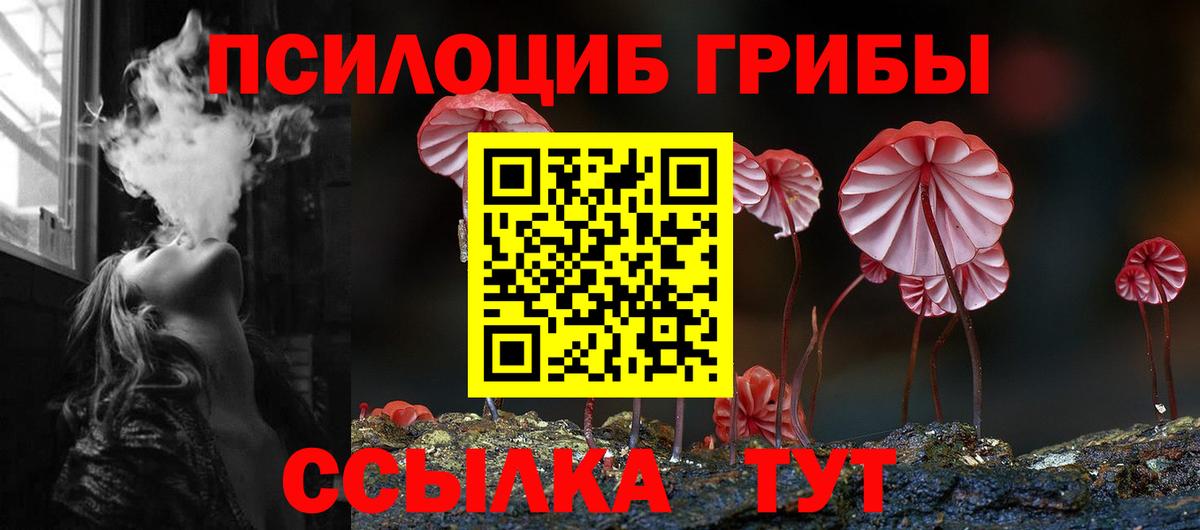 Галлюциногенные грибы Psilocybe Ржев