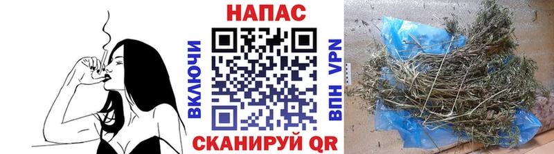 даркнет состав МЕГА как войти Ржев Бошки марихуана White Widow
